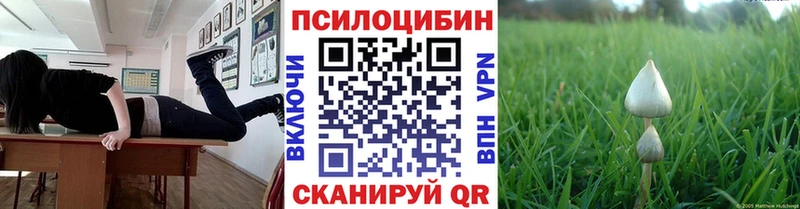 Галлюциногенные грибы Psilocybe Жуковский